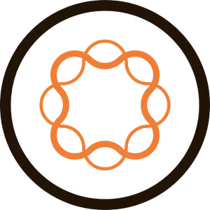 Adobe Experience Manager logo