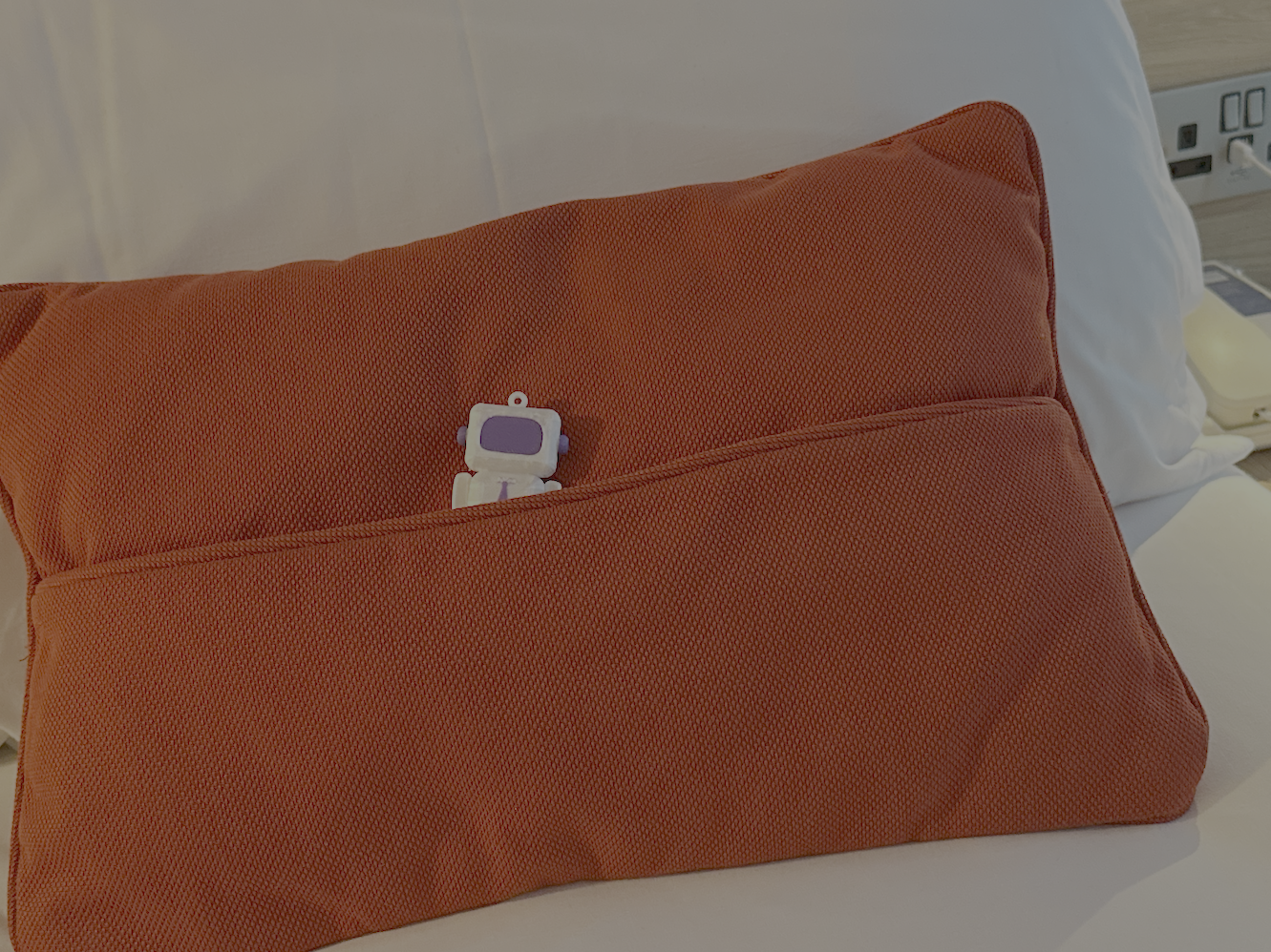 Arty tucked into a hotel pillow having a nap